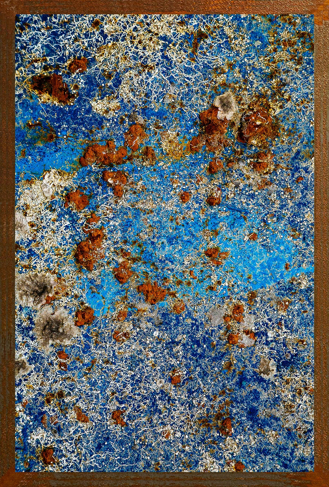 Fleurs de la mer — Hugues Bertin, œuvre numérotée