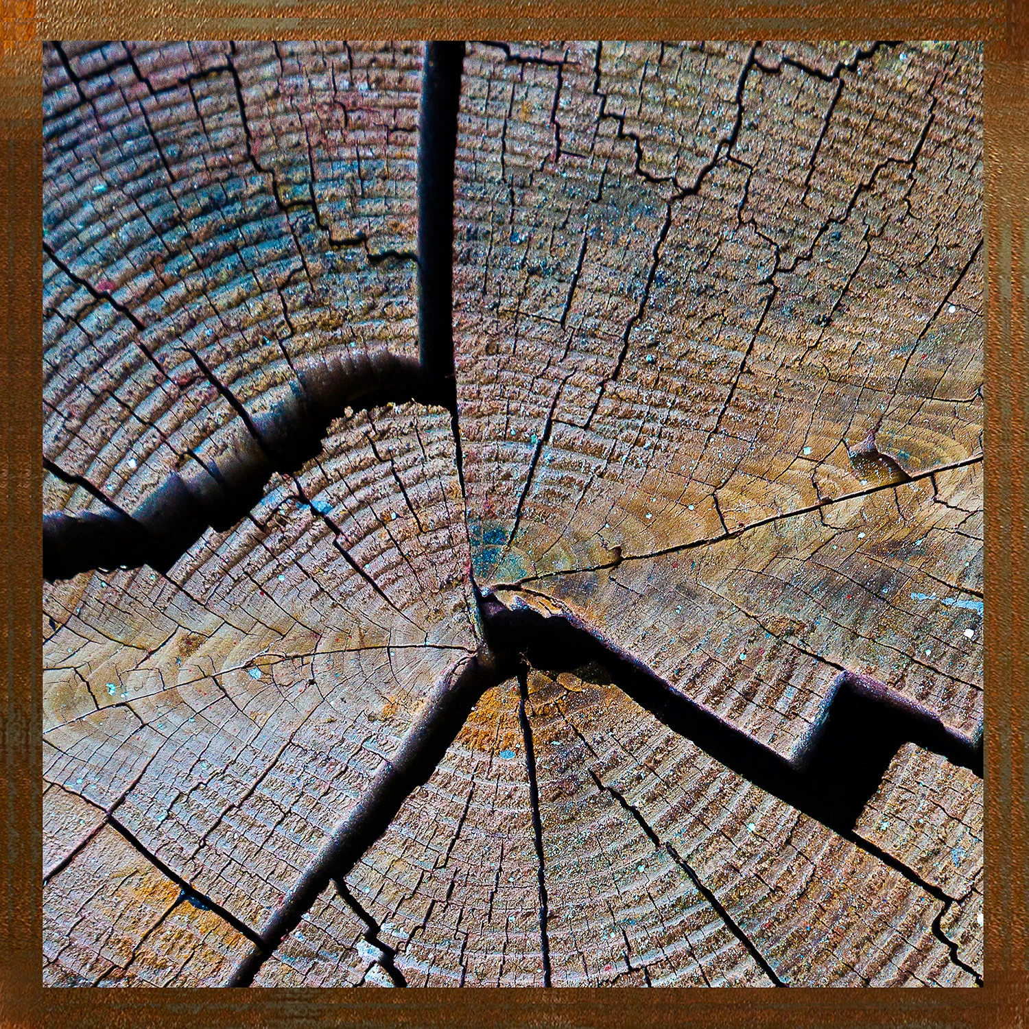 Fragments de bois — Hugues Bertin, œuvre numérotée