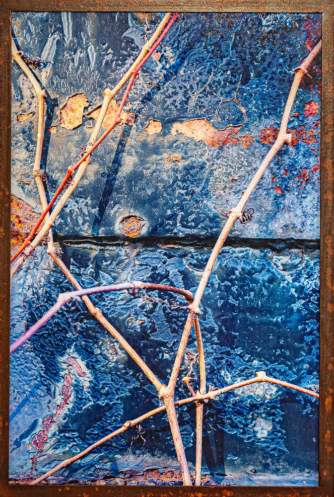 Carapace d'acier — Hugues Bertin, œuvre numérotée