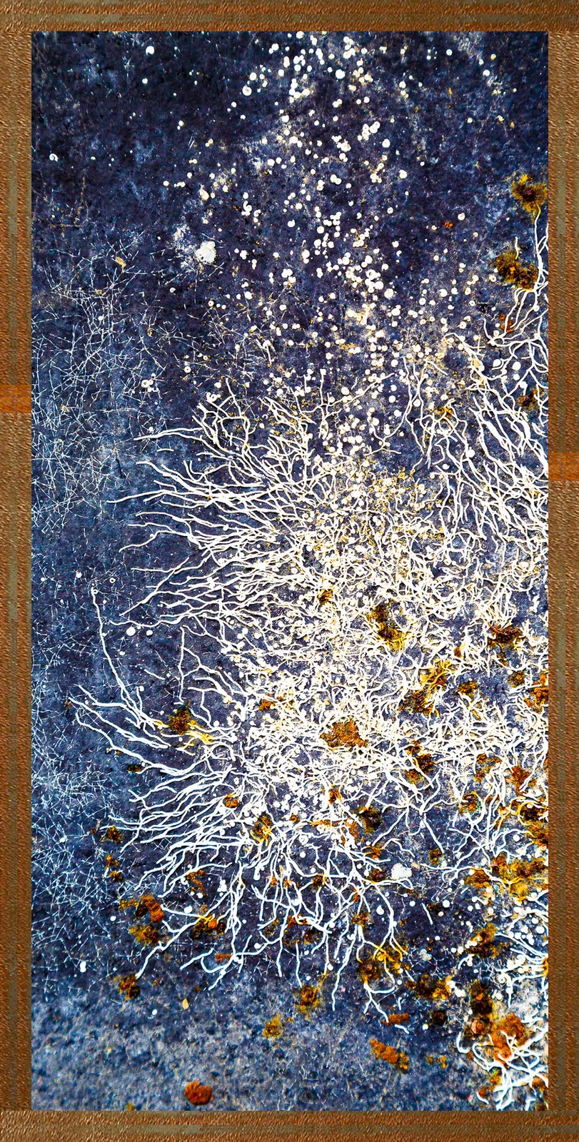 Végétation marine — Hugues Bertin, œuvre numérotée