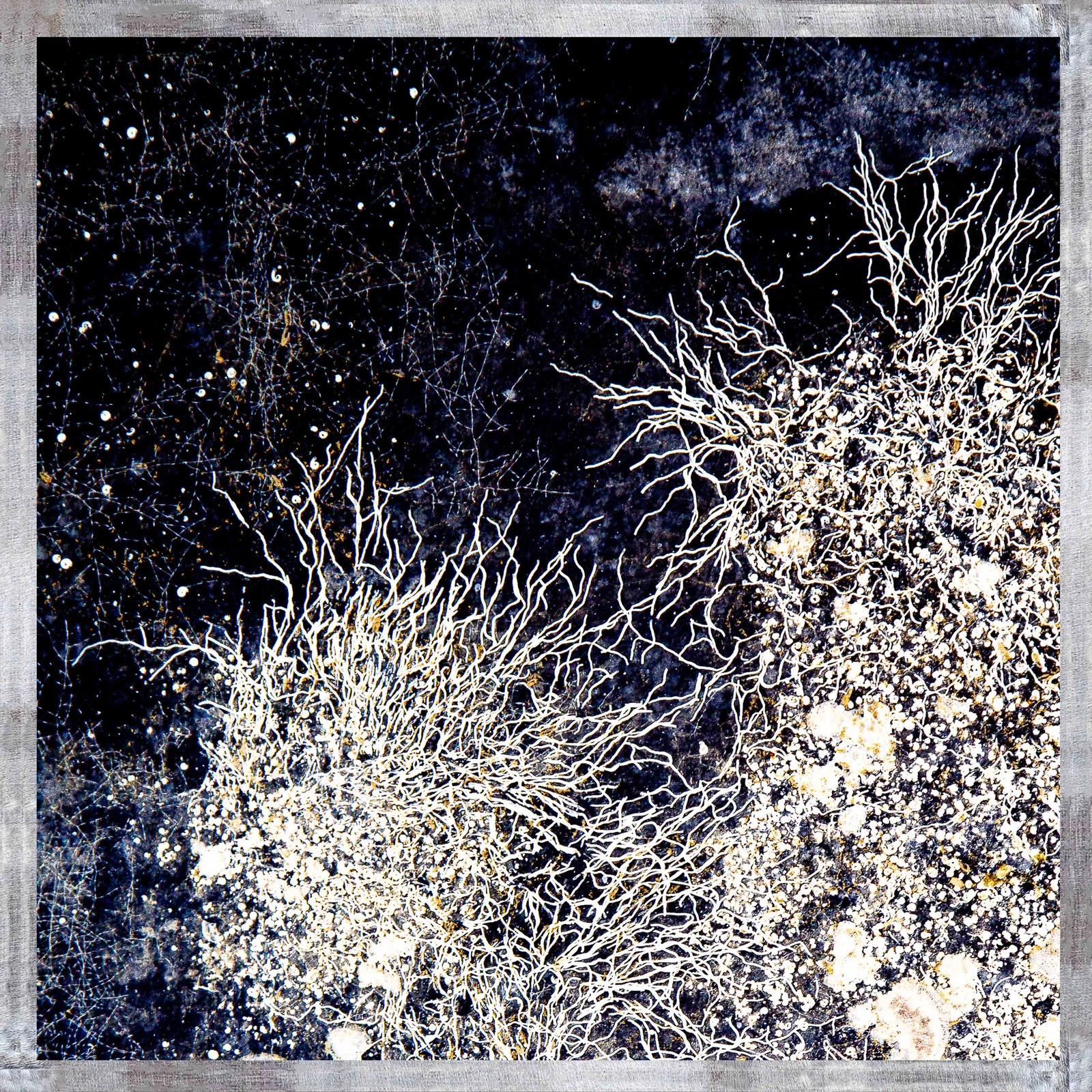 Effusion marine — Hugues Bertin, œuvre numérotée
