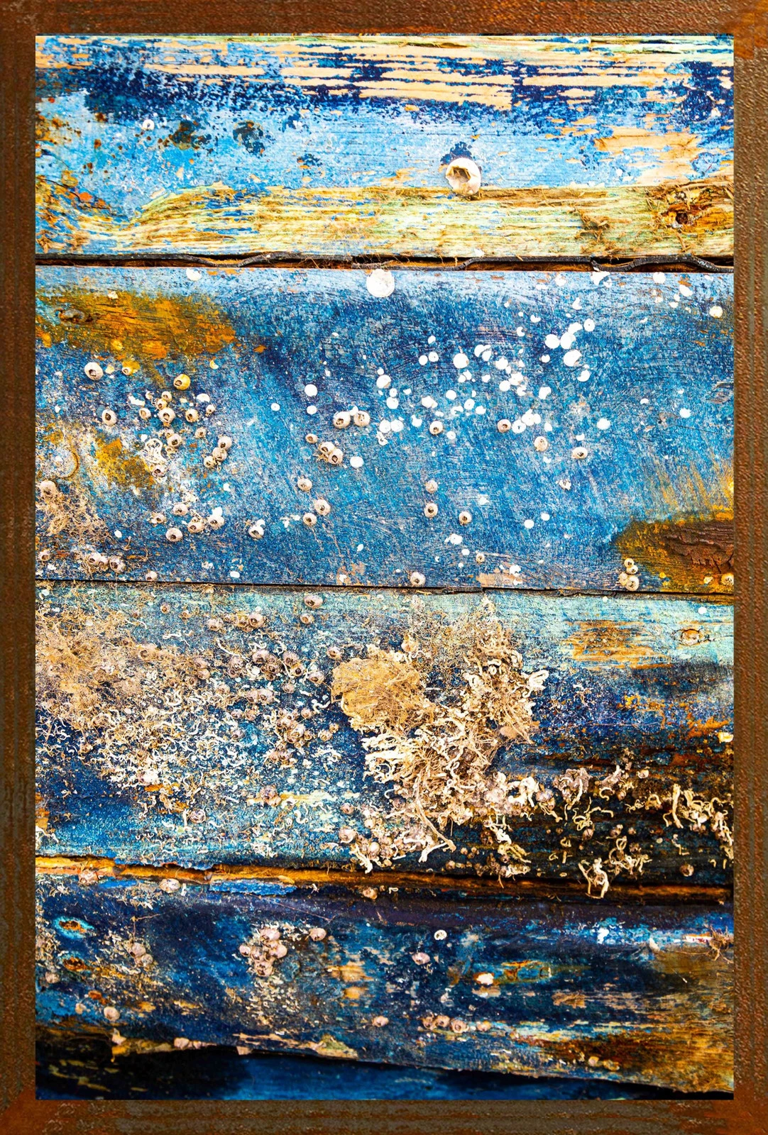 Rêves d'évasion marine — Hugues Bertin, œuvre numérotée